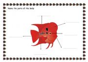 English Worksheet: ANIMALS: PARTS OF THE BODY