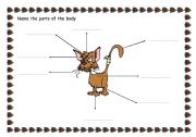 English Worksheet: ANIMALS: PARTS OF THE BODY