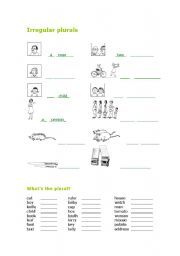 English worksheet: Irregular plural exercises