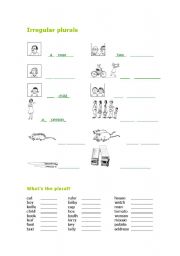 English Worksheet: Irregular plural exercises