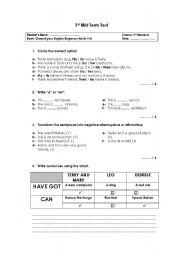 English worksheet: Revision Test