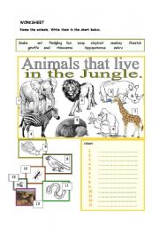 English worksheet: ANIMALS IN THE JUNGLE