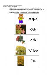 English Worksheet: Concentration Game - followup to Why Do Leaves Change Color?