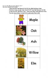 English worksheet: Concentration Game - followup to Why Do Leaves Change Color?