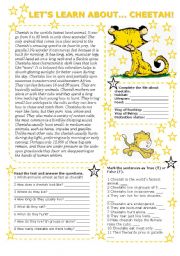 LETS LEARN ABOUT... CHEETAH! (2 pages with key) 