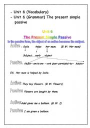 English worksheet: Macmillian unit 6 Primary 5