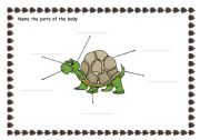 English Worksheet: ANIMALS: PARTS OF THE BODY