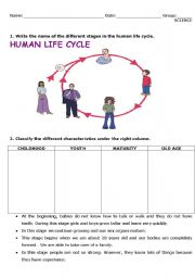 English Worksheet: human life cycle