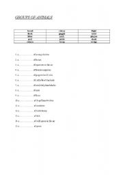 English worksheet: group of animals