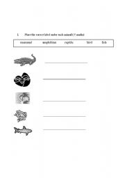 English Worksheet: vertebrates 