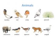 English worksheet: Animals