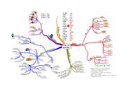 Mind map of past tense and irregular verbs