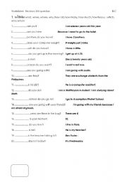 English Worksheet: Wh-questions