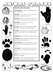 English Worksheet: Animal Tracks