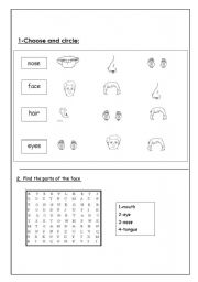 English worksheet: Face