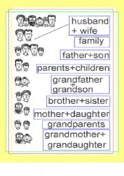 English Worksheet: family members matching
