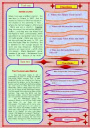 English Worksheet: reading worksheet