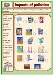 English Worksheet: Impacts of pollution