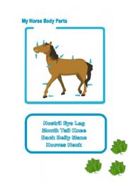 English Worksheet: Horse Body Parts