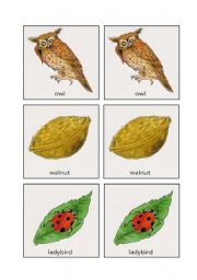 English worksheet: Memory game 5/11