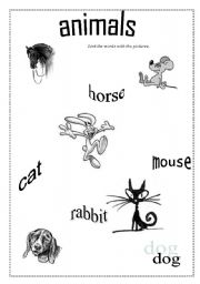 English worksheet: animals- link the pictures with the words