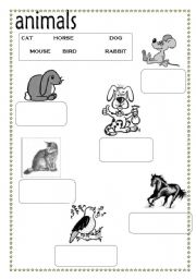 English worksheet: Animals