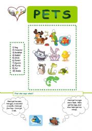 English Worksheet: pets