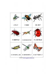 English Worksheet: Insect Bingo Board