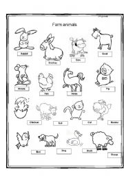 English Worksheet: farm animals 