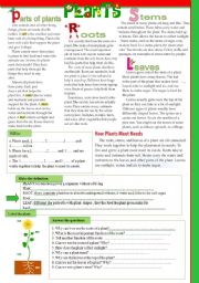 English Worksheet: The science lesson- PLANTS