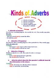 English worksheet: Kinds of adverbs