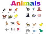 English worksheet: animals