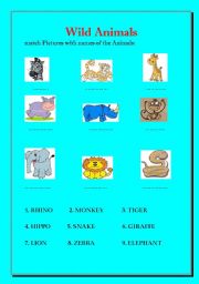 English worksheet: MATCH NAMES OF WILD ANIMALS WITH PICTURES