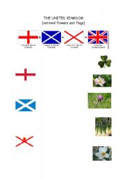 English worksheet: The UK (national symbols/flowers)
