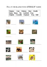 English worksheet: Animals Names