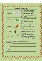 English worksheet: ANIMAL CATEGORY