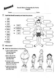 English Worksheet: describing people