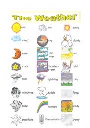 English Worksheet: The Weather