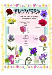 English Worksheet: FLOWERS