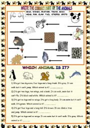 English Worksheet: PART OF ANIMALS