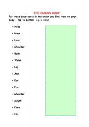 English Worksheet: Human Body Top to Bottom