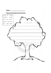 English Worksheet: Trees