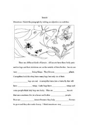 English Worksheet: Insects and Adjectives