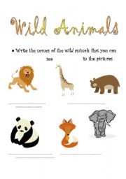 English worksheet: Wild Animals