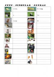 English worksheet: Pets - vocabuary + singular/plural