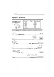 English Worksheet: Special Plurals