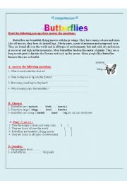 English worksheet: Butterflies