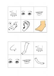 English Worksheet: body parts lotto