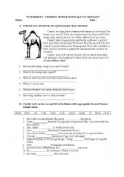 English Worksheet: present simple ense reading comprehension