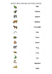 English worksheet: Match the animals and their names